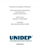 UNIVERSIDAD DEL DESARRROLLO PROFESIONAL ESPECIALIDAD EN DIRECCION DE NEGOCIOS
