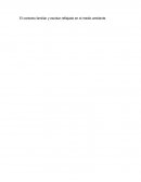 El contexto familiar y escolar reflejado en el cuidado del medio ambiente