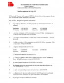 Herramientas de Control de Gestión Pyme: Planteamientode presupuesto de caja