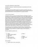 DISEÑO DE INTERIORES CON MATERIAL RECICLADO