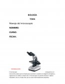 El microscopio compuesto es un instrumento óptico que se emplea para aumentar o ampliar las imágenes de objetos