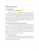 Parque inflable CAPÍTULO 3. Marco teórico