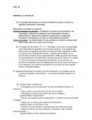 En grandes almacenes una cultura orientada al poder y trival en la segunda clasificación estudiada.