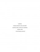 Usted es el encargado de definir para su equipo de auditoria las pruebas sustantivas que aplicaran en las cuentas de resultados.