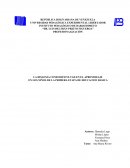 LA DISLEXIA COMO DIFICULTAD EN EL APRENDIZAJE