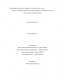 Encuesta analfabetismo