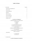 Contabilidad PRIORIZACION DE LAS PROBLEMATICAS