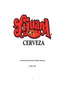 Proceso administrativo.Cervecería Tijuana