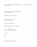 Análisis y plan de negocios: Tecnologia GNV y GLP