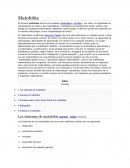 El término matofobia deriva de la palabra matemática y la fobia