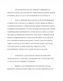 Aplicacion de protocolo