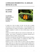 ENSAYO DE LA MODALIDAD ARGUMENTATIVA – EL ANHELADO SENTIDO DE LA VIDA