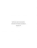 Red Privada y Virtual y Redes Inalámbricas