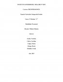 La propuesta fue planificada para ser ejecutada en un niño de 7 años en el nivel primario