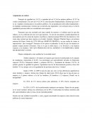 Que significa la Discrimnacion positiva