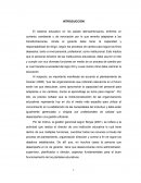 Cuales son los Lineamientos estrategicos