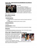 PROPAGACIÓN DE ENFERMEDAD PELIGROSA O CONTAGIOSA