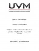 La Fundamentación filosófica de las garantías del gobernado y las garantías sociales.