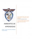 Las dos caras de los ambientes de aprendizaje