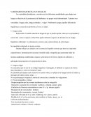 VARIEDADES DIASTRÁTICAS Y VARIEDADES DIFÁSTICAS