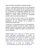 Cultura e identidad: identificación y prácticas culturales