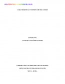 Caracteristicas y significado del color