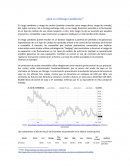 Tema de ¿Qué es el Riesgo Cambiario?