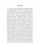 Tesis: Proyecto de grado