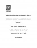 Práctica de Laboratorio Materia Orgánica e Inorgánica