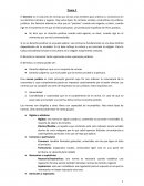 Qué es el derecho y lo que significa