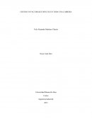 COSTOS UN FACTOR QUE INFLUYE EN TODA UNA CARRERA