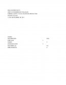 FORMULACION Y EVALUACION DE PROYECTOS EXPRESS SERVICE