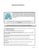 Propuesta de guía fase análisis.