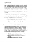 RESUMEN PLATÓN Biografía. Elementos y supuestos teóricos de la filosofía platónica