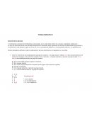 INFERENCIA LÓGICA: TRABAJO COLABORATIVO