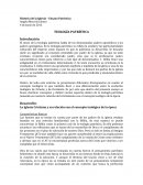 TEOLOGÍA PATRÍSTICA Importancia: Credo – Teología Sabia