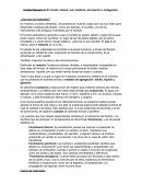 El mundo natural, sus cambios: percepción e indagación.