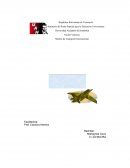 Transporte Aéreo Ensayo Breve