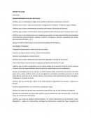 Descripción de puestos Pintacomex