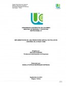 IMPLEMENTACIÓN DE UNA PRODUCCIÓN AVÍCOLA DE POLLOS DE ENGORDE DE LA RAZA COBB