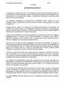 Ensayo ¿El alimento perfecto?