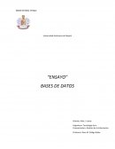 Las bases de datos son el método más utilizado para el almacenamiento organizado de datos.