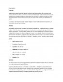 En cuanto a una interpretación de carácter religioso el color verde representa la esperanza, el blanco la fe y el color rojo la caridad.