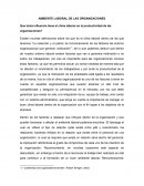 Ambiente Laboral en la Organización