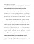 Como es el Planteamiento del problema artesanas