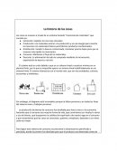 Reporte de "La historia de las cosas"