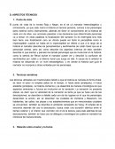 Análisis técnico de la novela Rojo y Negro