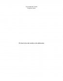 El efecto de las redes sociales en los adolescentes