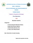 Geografia FACULTAD REGIONAL MULTIDISCIPLINARIAS DE CARAZO.