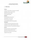 Análisi FODA Sunnergy Energia Renovable